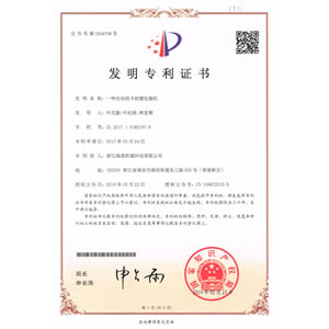 Patent